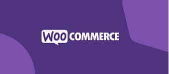 Consultant SEO Woocommerce