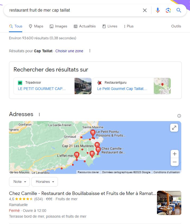 Copie d'écran pour une recherche sur Google classique